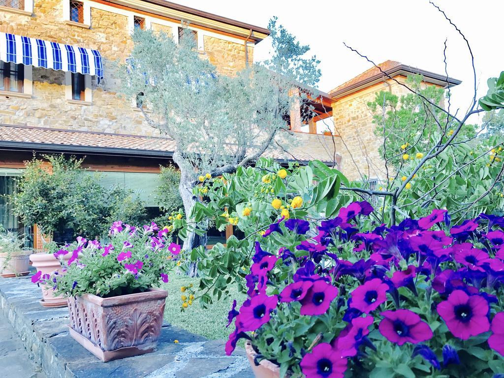 Casa Vacanze Il Cenito Castellabate Buitenkant foto