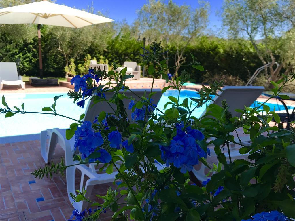 Casa Vacanze Il Cenito Castellabate Buitenkant foto
