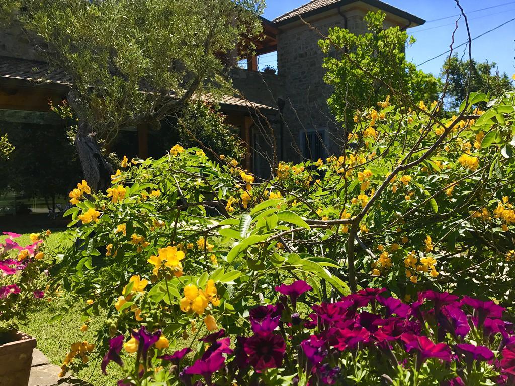 Casa Vacanze Il Cenito Castellabate Buitenkant foto